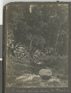 River scene, Eastern province, Kenya, ca.1920