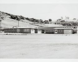 PBS Livestock and Poultry Diagnosis and Testing Lab, 1500 Petaluma Boulevard South, Petaluma, California, about 1954