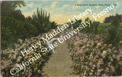 A Rose Path, Kearney Park, Fresno, Cal