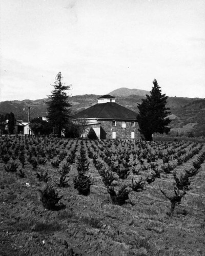 Nervo Winery, Northern Sonoma County, California