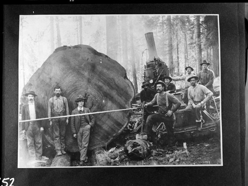 Logging, Donkey engines. Misc. Groups