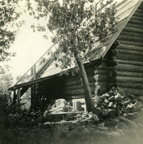 Cabin at Camp Ho Ho, Larkspur, circa 1890 [photograph]