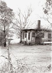 Back of the Luther Burbank Gold Ridge Experiment Farm cottage prior to restoration