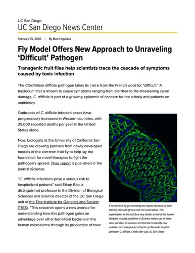 Fly Model Offers New Approach to Unraveling ‘Difficult’ Pathogen