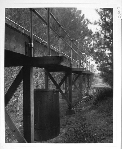 Foot bridge on Mount Wilson as seen looking towards the 100-inch telescope dome from within the ravine