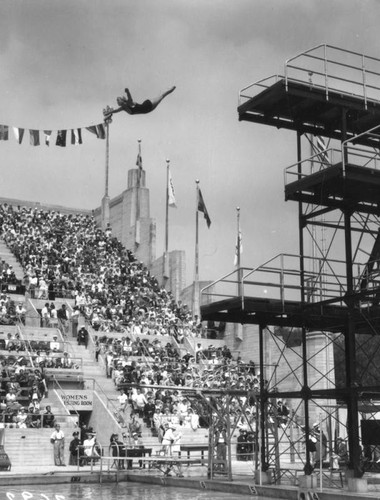 Dorothy Poynton diving, 1932 Olympics