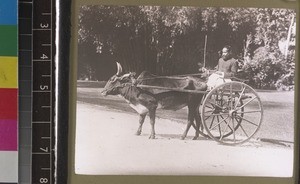 Missionary bullock-cart, Sri Lanka, s.d