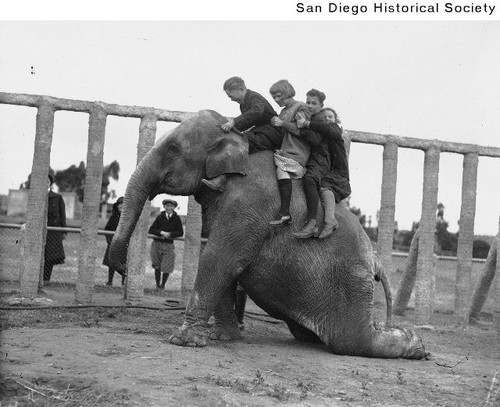 A family riding an elephant at the San Diego Zoo