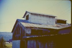 Unidentified barns, 1979