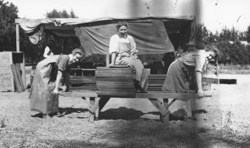 Hillebrecht Ranch with three young women posed with tray stretcher and trays used for sun-drying apricots, Orange, California, 1910