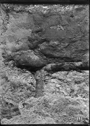 Pit 4. North wall showing stratification. (RLB-171)
