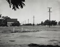 Unidentified street in Coddingtown area, Santa Rosa, California, 1962