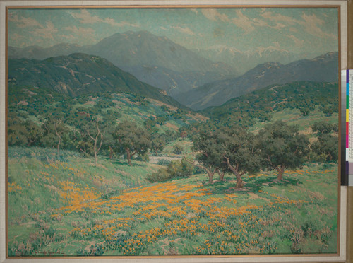 [California landscape with poppies]