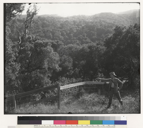 [Man standing along fence, pointing at the fence. Near Searsville Lake, San Mateo County.]