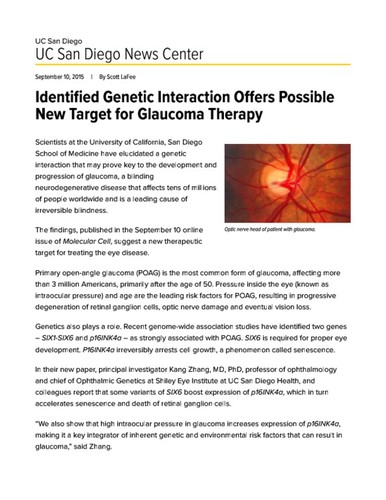 Identified Genetic Interaction Offers Possible New Target for Glaucoma Therapy