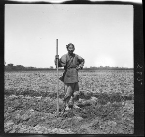 Portrait of a rice farmer standing in the field with his rake, China, ca.1900