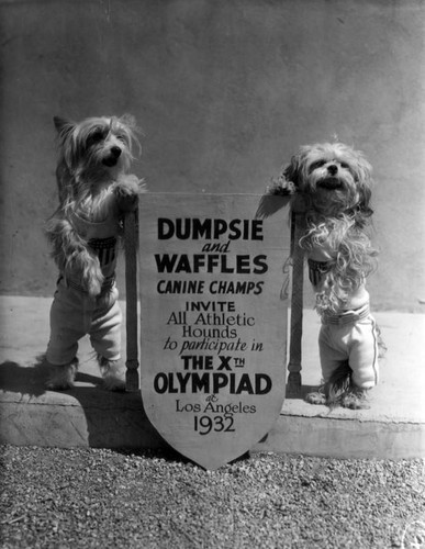 1932 Canine Champs