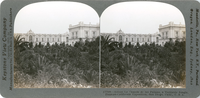 Across La Canada de las Palmas, a vertitable jungle, Panama-California Exposition, San Diego, Calif., U. S. A., 17708