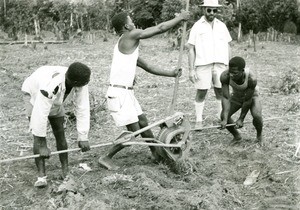 Agriculture in Ebeigne, Gabon