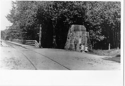 Girls beside a large redwood stump at the entrance to Guernewood Park