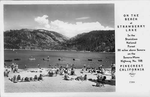 On the Beach at Strawberry Lake, Pinecrest California