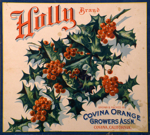 Holly label