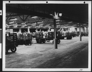 Railway Express Agency local delivery dock, showing packages being prepared for dispatch, ca.1940