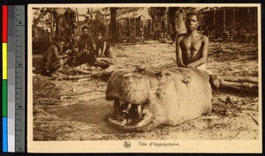 Man standing by the decapitated head of a hippopotamus, Congo, ca.1920-1940