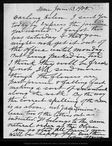Letter from John Muir to Helen [Muir], 1908 Jun 13