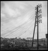 Features. Telegraph pole [Damaged]