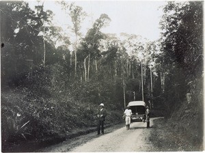 Road to Antananarivo, in the forest, in Madagascar
