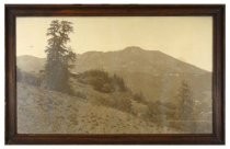 Photo of Mt. Tamalpais which hung in an office above "Old Strawbridge's" stationary store