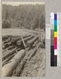 Second Growth Redwood Cutting Experiment, Project #688, Big River, Mendocino County, California. A car of second growth logs arrived at the log dump. Temporary roll-way along the river bank. E. Fritz, May 1923