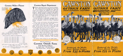Cawston Ostrich Farm Brochure: "Cawston Ostrich Farm, South Pasadena, California, From Egg to Plume"
