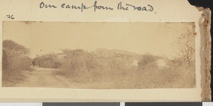 Carrier camp, Dodoma, Tanzania, July-November 1917