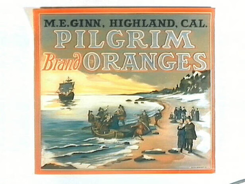 Pilgrim Brand Oranges