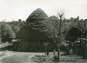 Bamileke huts, in Cameroon