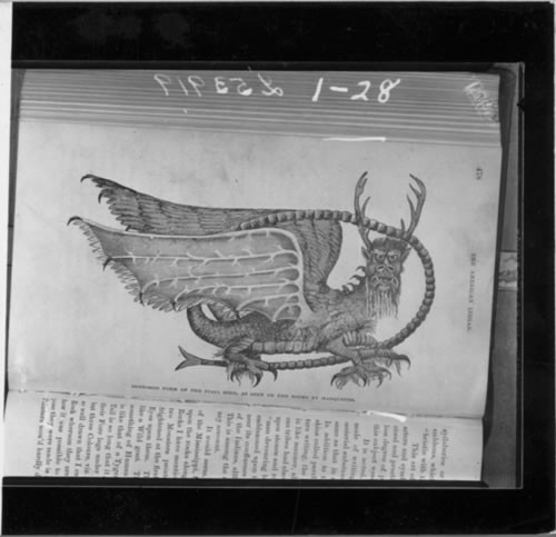 Piasa Bird [Caption reads "Supposed form of the Piasa Bird, as seen on the rocks by Marquette]