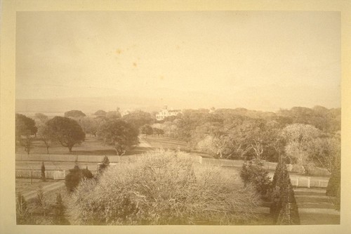 Baywood from across El Camino Real. Portion of Watkins' wagon visible left foreground