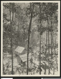 Camp Ridan. Rasthäuser im Urwald