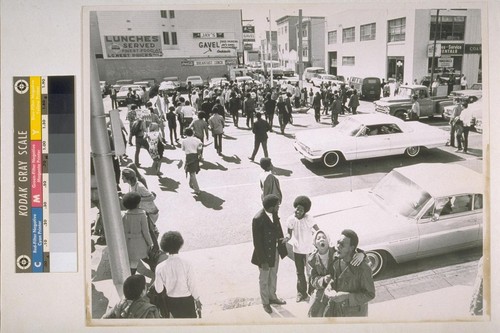 Black Panthers demonstration at Hall of Justice