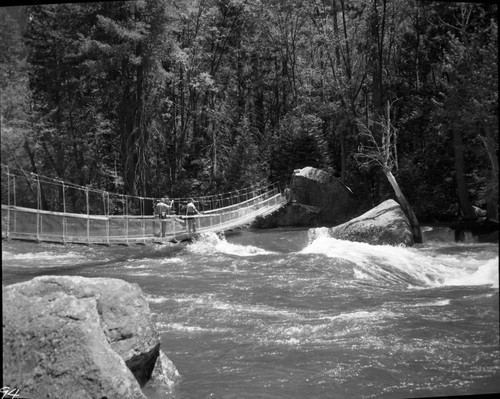 Bridges, Swinging bridge at Zumwalt Meadow, South Fork Kings River. Park Superintnedents - John McLaughlin on right