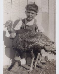 Robert H. Plummer poses with his pet turkey, Chileno Valley, Petaluma, California, 1921