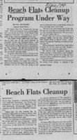 Beach Flats cleanup program under way
