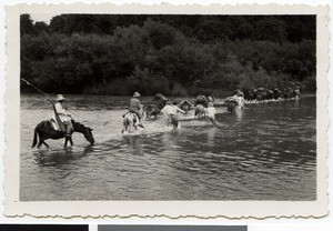 Crossing the river Didesa Wenz, Ethiopia, 1936
