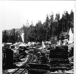 Northwestern Pacific (NWP) railroad narrow gauge tracks at Streeten's Mill, Camp Meeker 1883