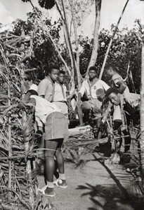 Boyscouts, in Cameroon