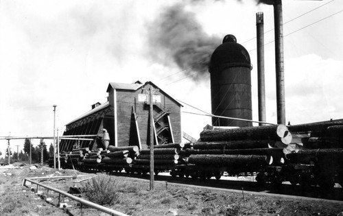 McCloud River Lumber Company mill