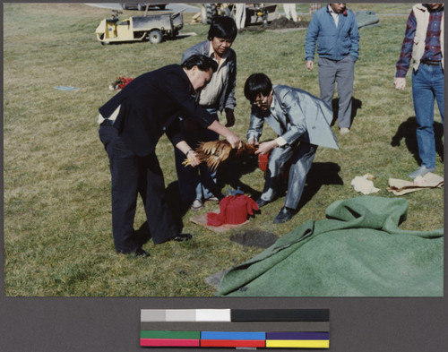 Ceremony for the first anniversary of a death at an Asian cemetery in San Mateo County, California