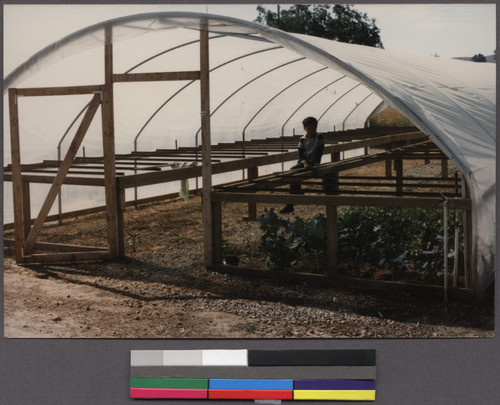 Enclosure for plants on Lao farm, Livermore, California